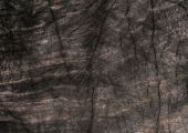 Black Quartzite 8113